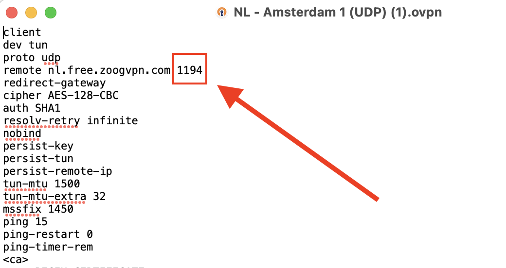 Open VPN config port