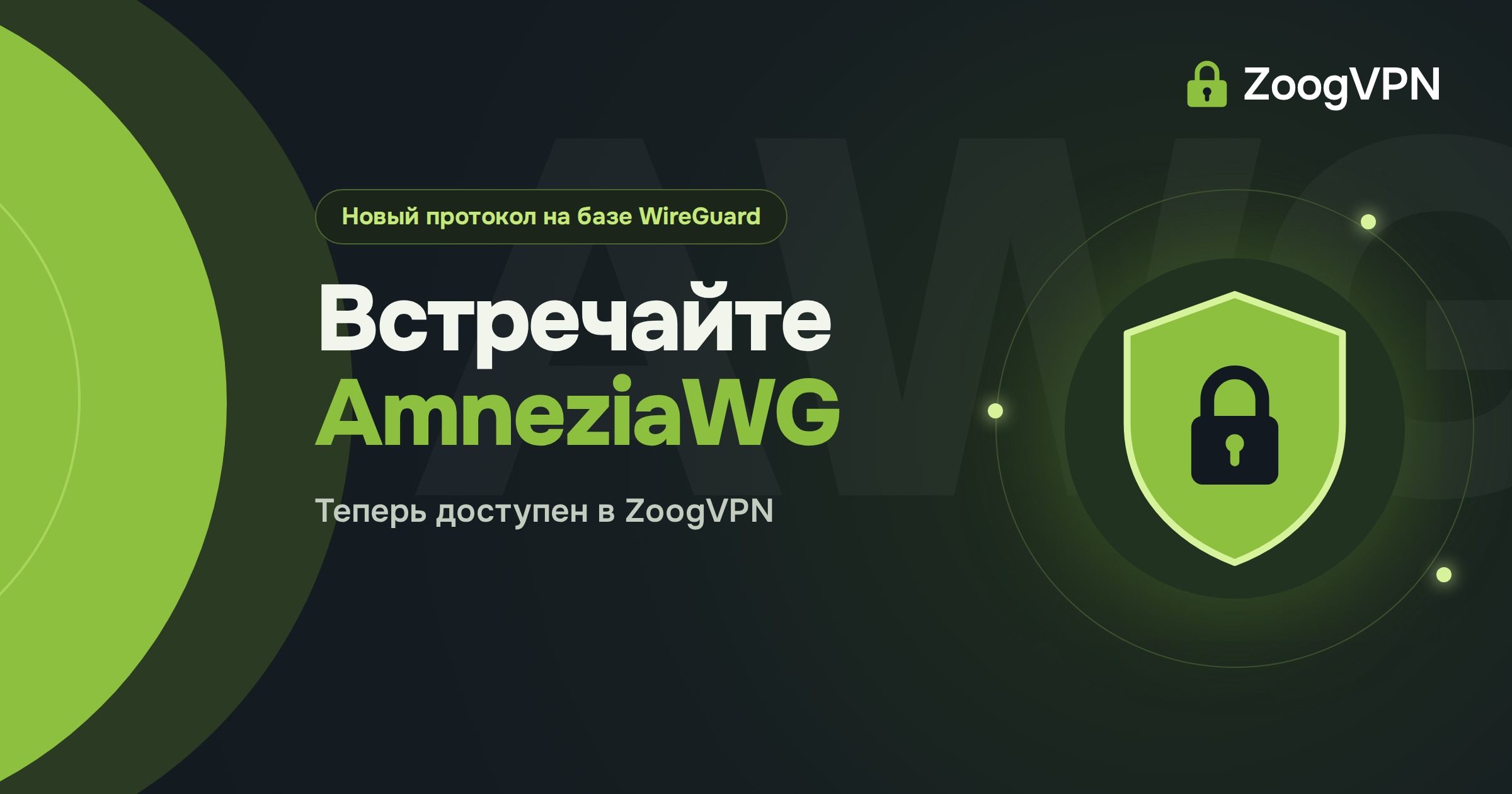 amneziawg zoogvpn compressed